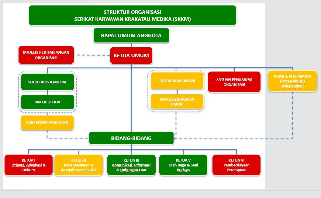 WhatsApp Image 2026-02-10 at 12.51.28